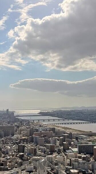 236伦理韩剧-236伦理韩剧，在情感与道德的交织中寻找人性的真谛