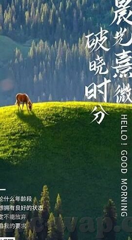 7xfw噜噜吧中文字幕-7xfw噜噜吧中文字幕，网络文化的新奇探索与理性审视