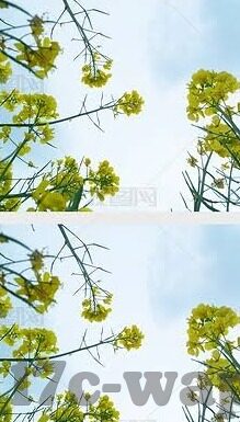 成人麻豆av-与其对社会的复杂影响
