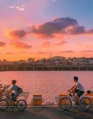糖心vlog在线一区-新媒体风潮中的私密流域探索，糖心VLOG在线一区的多元风貌